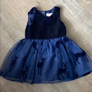 Cat & jack Navy Dress